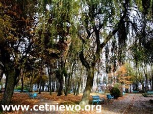 COS Cetniewo park